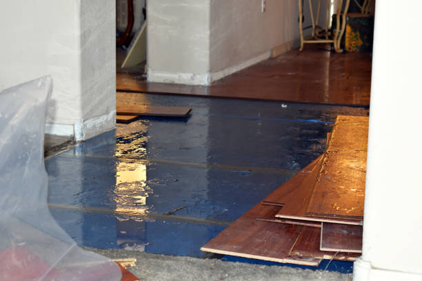 Professional Flood Damage Repair technician working in Oswego, NY